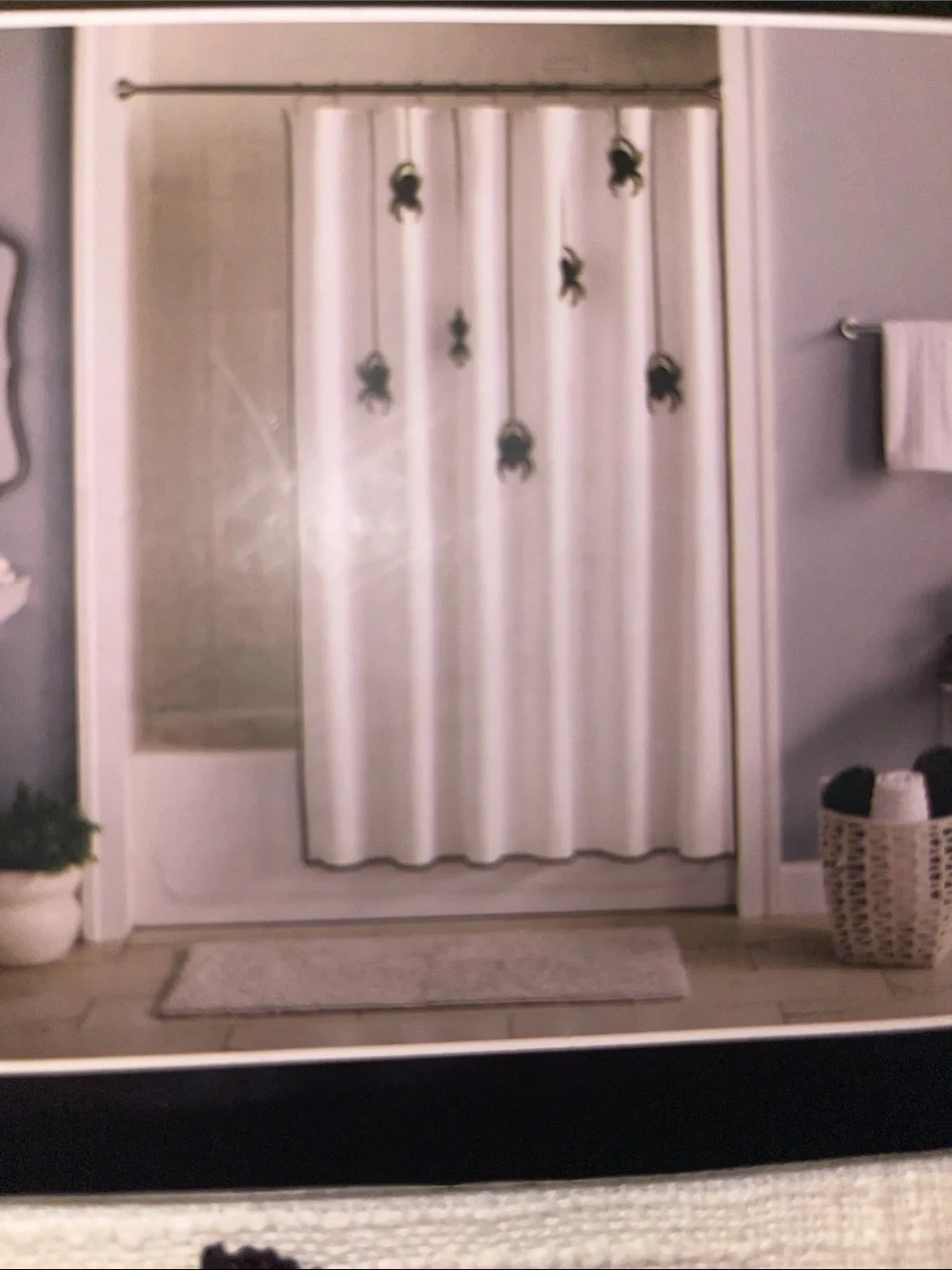 Martha Stewart White Cotton Shower Curtain with Black Spider Motif